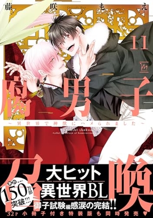 腐男子召喚～異世界で神獣にハメられました～ 11