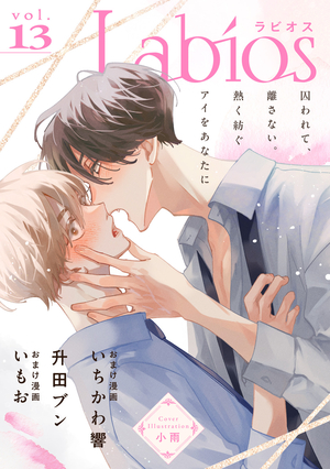 Labios vol.13