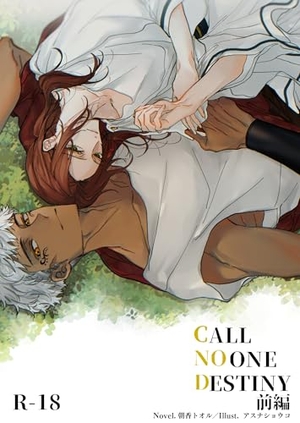 CALL NO ONE DESTINY　