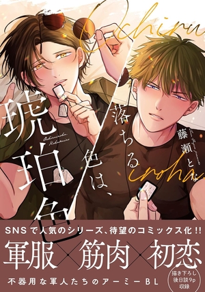 落ちる色は、琥珀色