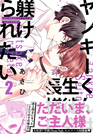 ヤンキーくんは生徒会長様に躾けられたい 2