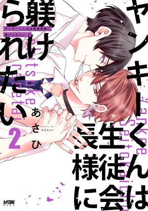 ヤンキーくんは生徒会長様に躾けられたい 2