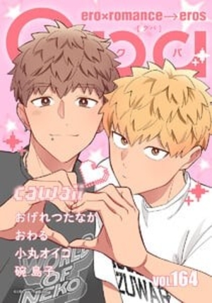 Qpa vol.164 カワイイ