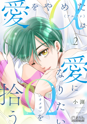 愛をやめたαは愛になりたいΩを拾う 2