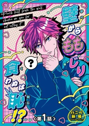 壁からももじり食わぬは恥！？