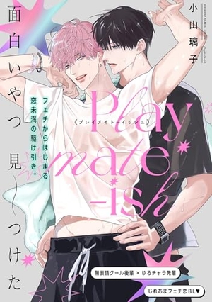 Playmate-ish プレイメイト-イッシュ