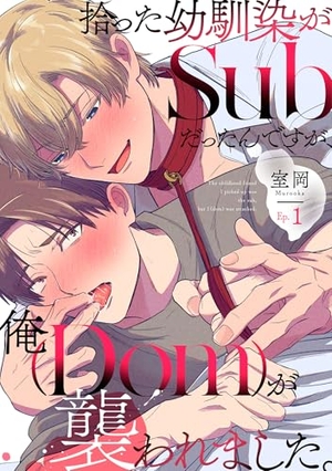 拾った幼馴染がSubだったんですが、俺が襲われました。 1