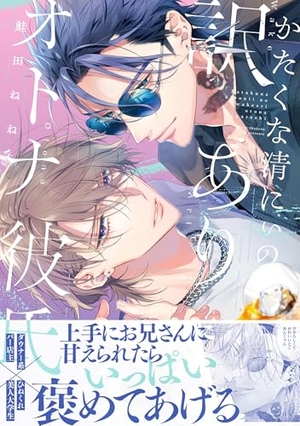 かたくな清にぃの訳ありオトナ彼氏