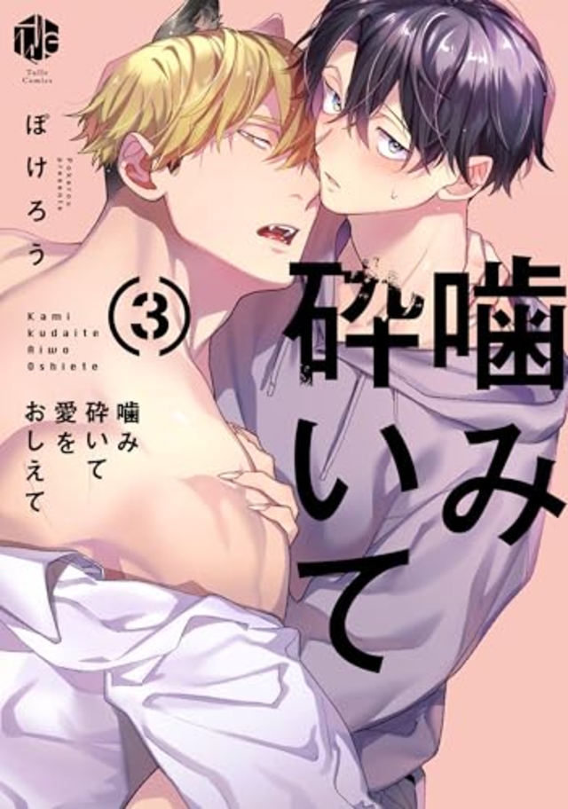 噛み砕いて愛をおしえて 3