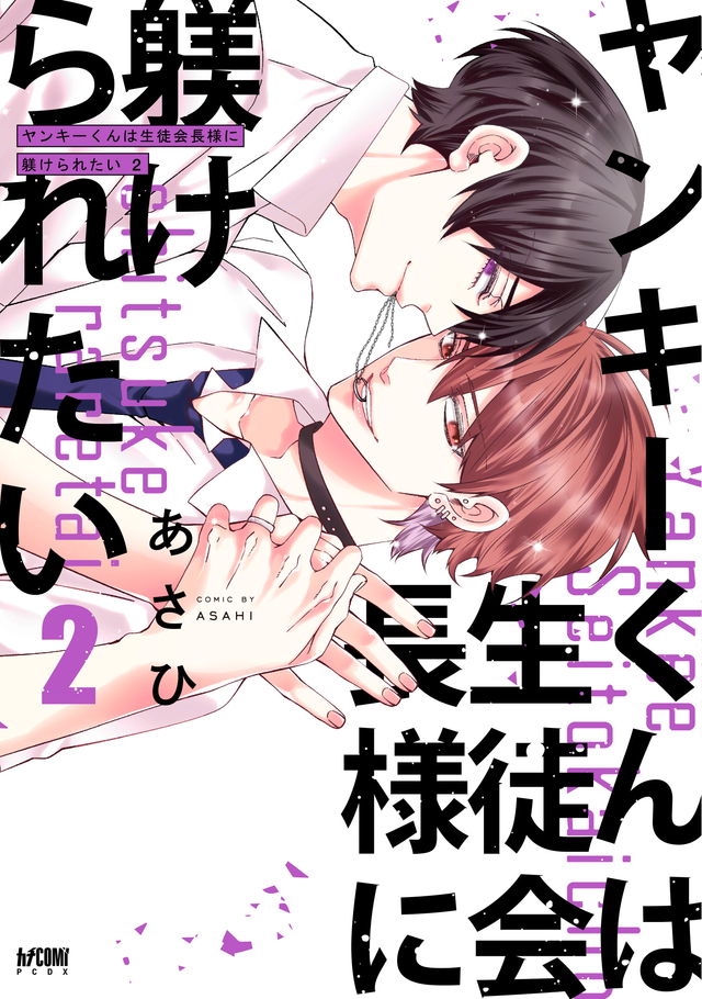 ヤンキーくんは生徒会長様に躾けられたい 2