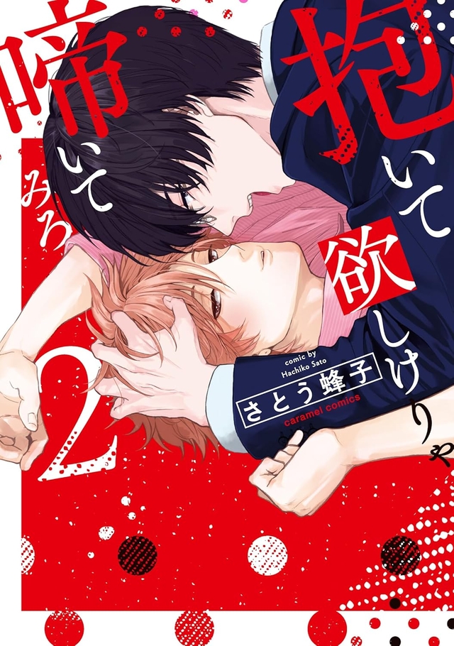 抱いて欲しけりゃ啼いてみろ 2