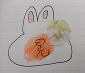 花晃